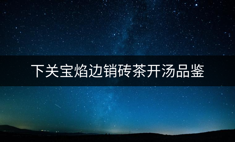 下關寶焰邊銷磚茶開湯品鑒