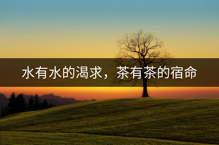 水有水的渴求,茶有茶的宿命 水有水的渴求,茶有茶的宿命