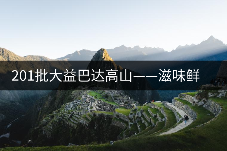 201批大益巴達高山——滋味鮮爽醇厚,回甘高而持久 201批大益巴達高山——滋味鮮爽醇厚,回甘高而持久