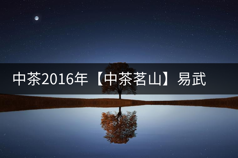 中茶2016年【中茶茗山】易武熟茶開湯品鑒