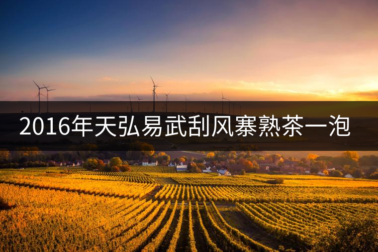 2016年天弘易武刮風寨熟茶一泡耐人尋味! 2016年天弘易武刮風寨熟茶一泡耐人尋味!