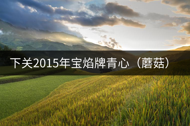 下關2015年寶焰牌青心(蘑菇)沱品鑒 下關2015年寶焰牌青心(蘑菇)沱品鑒