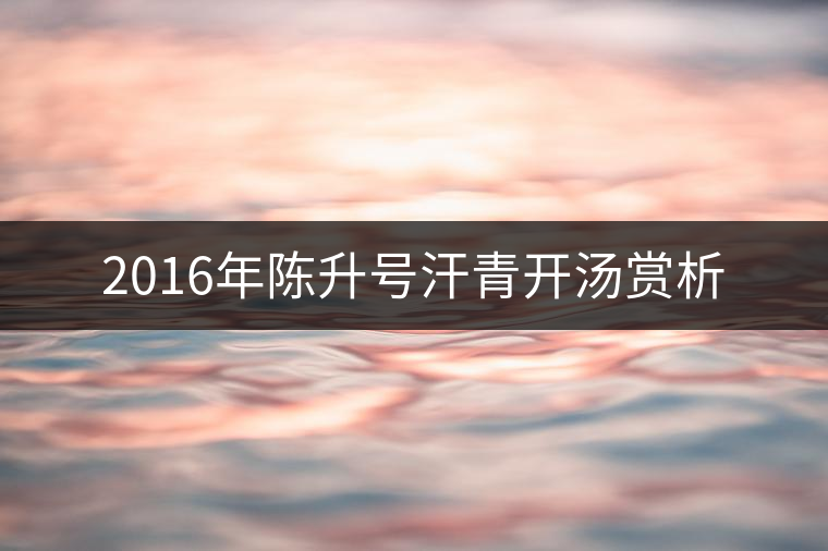 2016年陳升號汗青開湯賞析 2016年陳升號汗青開湯賞析