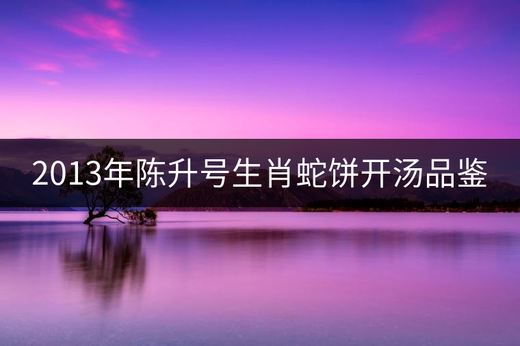 2013年陳升號(hào)生肖蛇餅開湯品鑒 2013年陳升號(hào)生肖蛇餅開湯品鑒