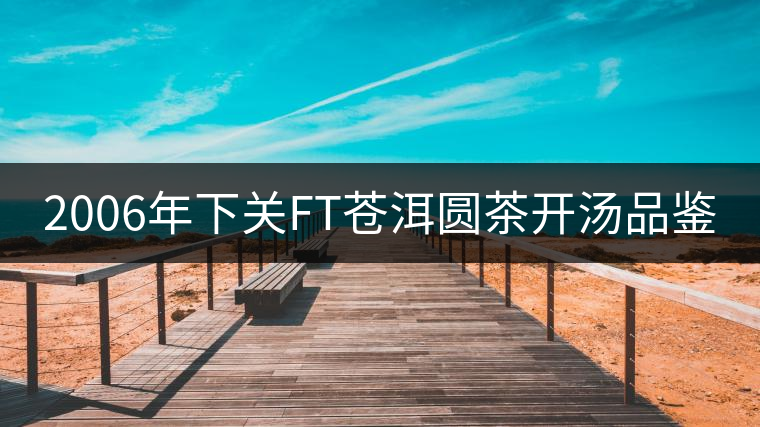 2006年下關FT蒼洱圓茶開湯品鑒 2006年下關FT蒼洱圓茶開湯品鑒