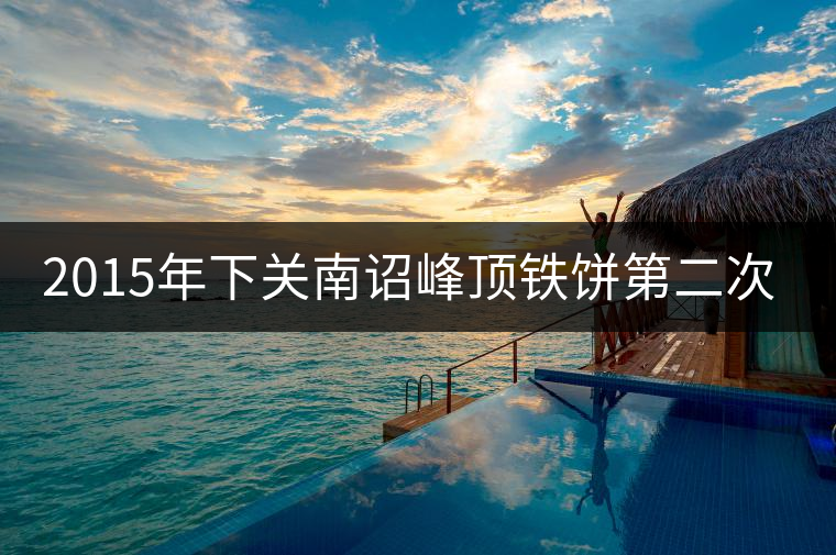 2015年下關南詔峰頂鐵餅第二次開湯品鑒