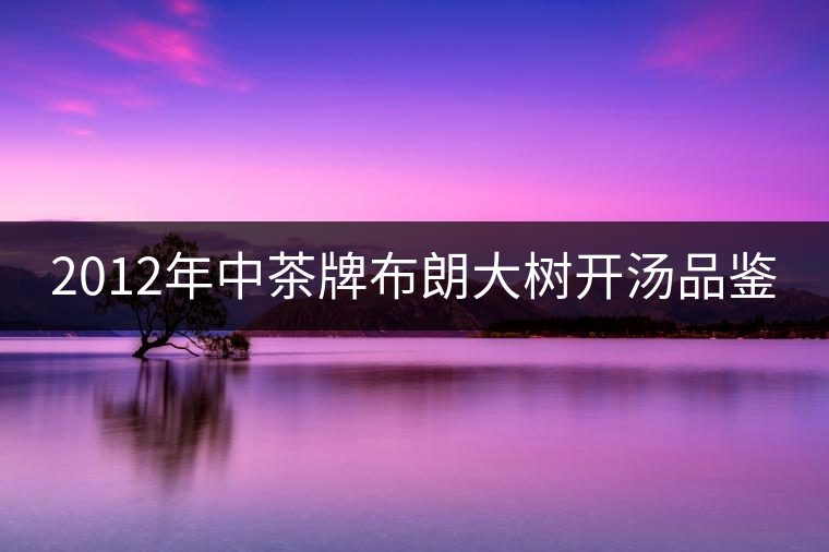 2012年中茶牌布朗大樹(shù)開(kāi)湯品鑒 2012年中茶牌布朗大樹(shù)開(kāi)湯品鑒