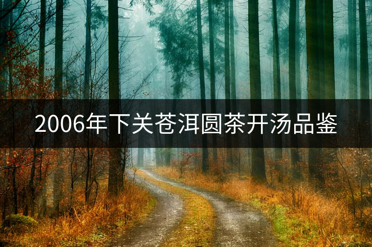 2006年下關蒼洱圓茶開湯品鑒 2006年下關蒼洱圓茶開湯品鑒