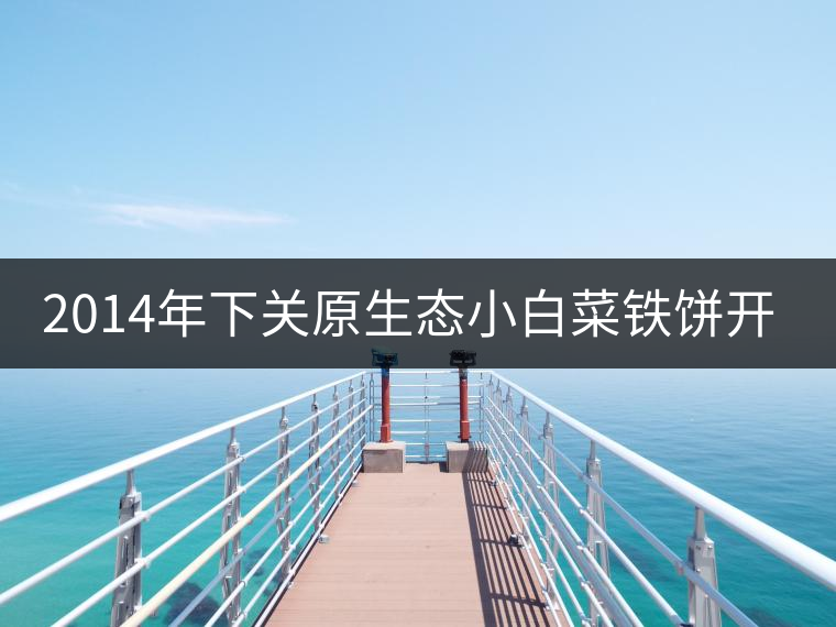 2014年下關原生態小白菜鐵餅開湯品鑒