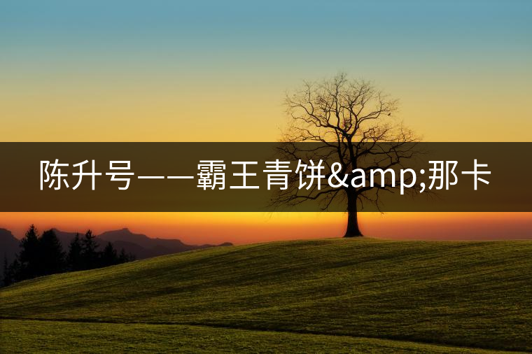 陳升號(hào)——霸王青餅&那卡