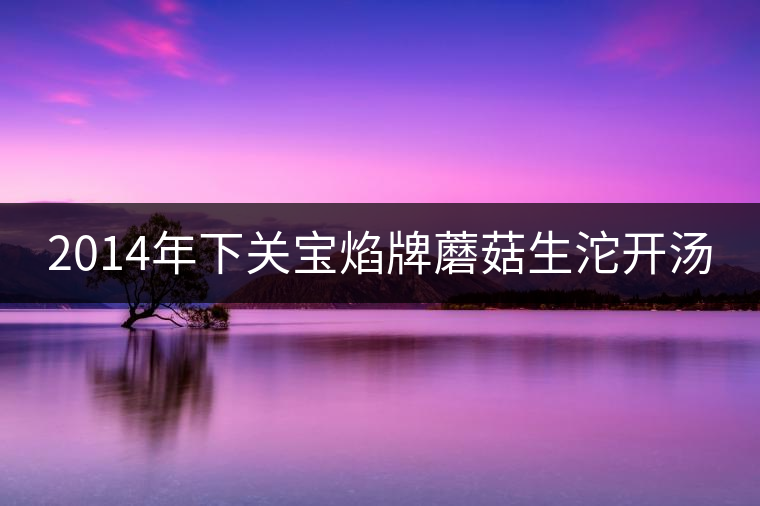 2014年下關寶焰牌蘑菇生沱開湯 2014年下關寶焰牌蘑菇生沱開湯