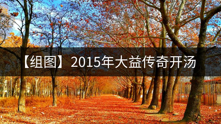 【組圖】2015年大益傳奇開湯