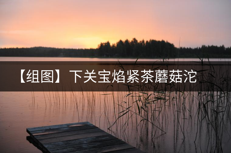 【組圖】下關(guān)寶焰緊茶蘑菇沱開湯