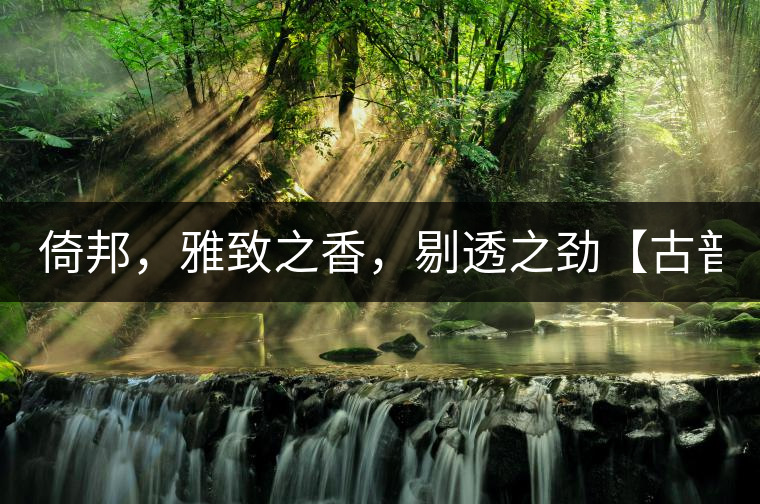 倚邦，雅致之香，剔透之勁【古普十二山品鑒】