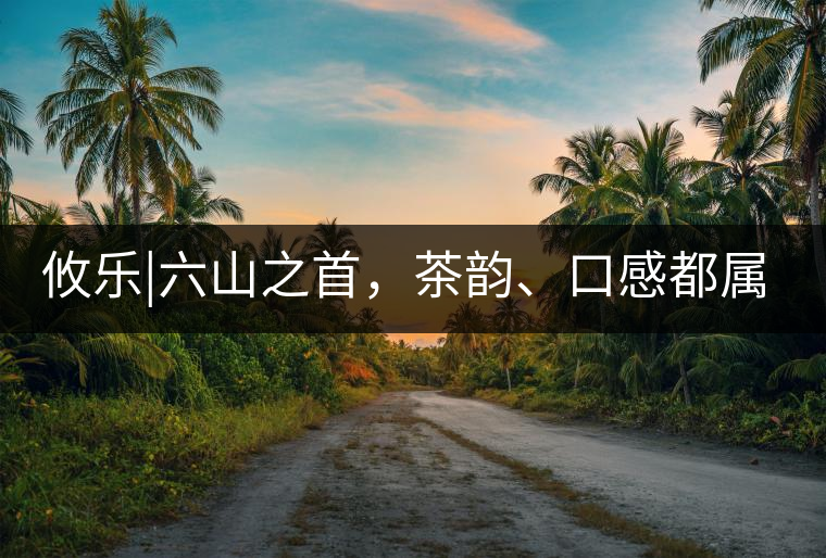 攸樂|六山之首,茶韻、口感都屬古六山一系 攸樂|六山之首,茶韻、口感都屬古六山一系