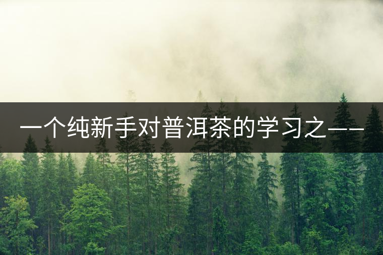 一個純新手對普洱茶的學習之——【韻】 一個純新手對普洱茶的學習之——【韻】