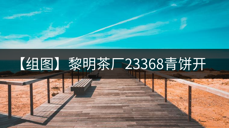 【組圖】黎明茶廠23368青餅開湯 【組圖】黎明茶廠23368青餅開湯