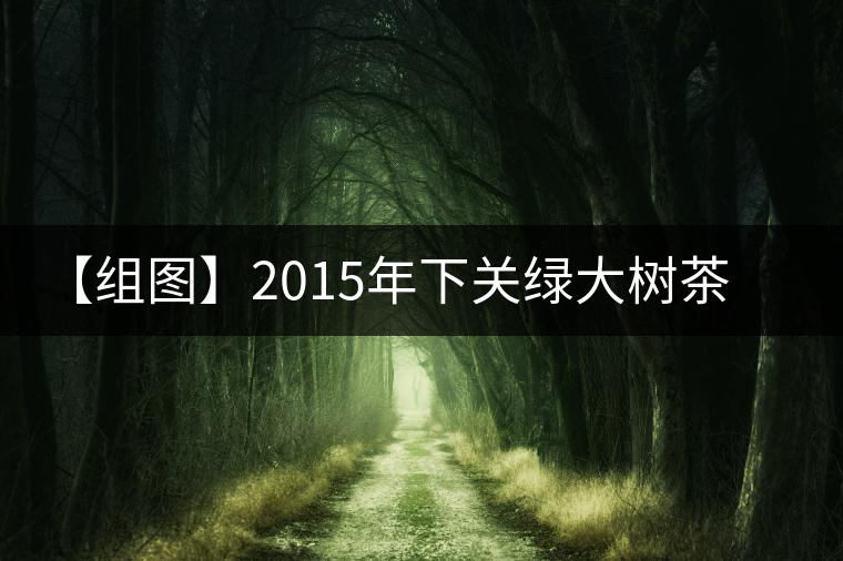 【組圖】2015年下關綠大樹茶餅開湯 【組圖】2015年下關綠大樹茶餅開湯
