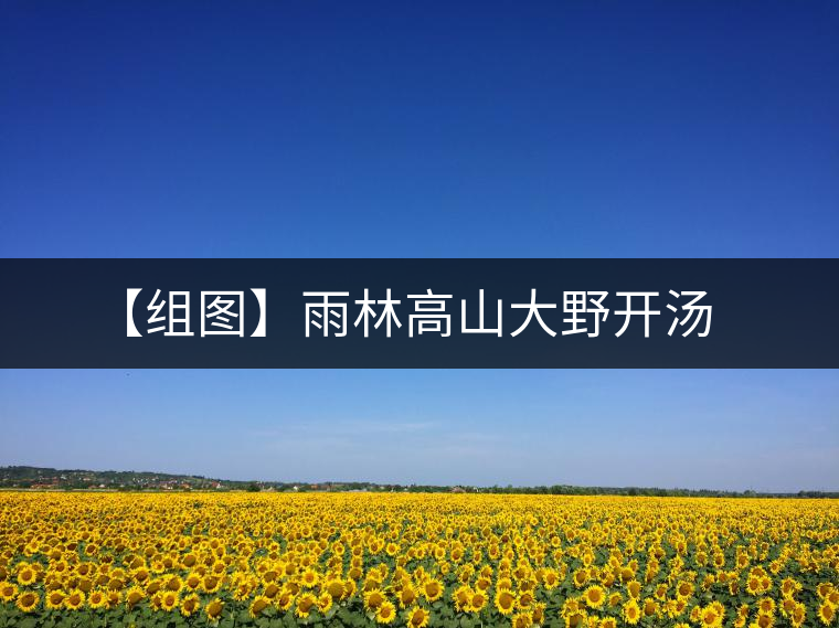 【組圖】雨林高山大野開湯