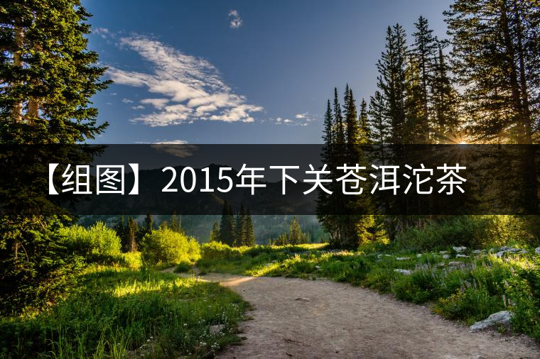 【組圖】2015年下關(guān)蒼洱沱茶開(kāi)湯