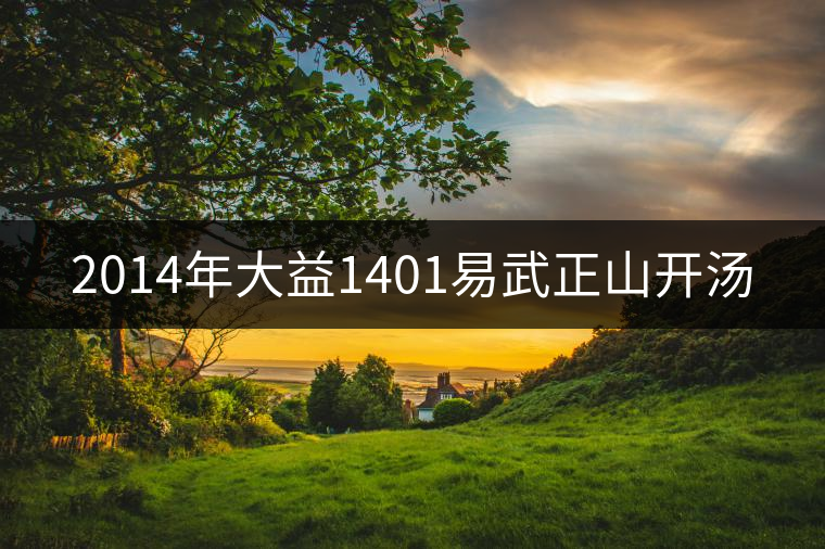 2014年大益1401易武正山開湯