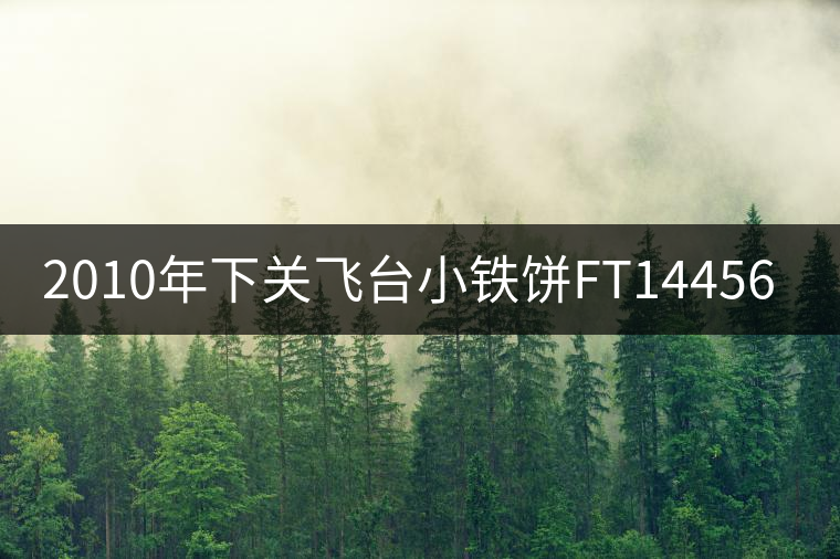 2010年下關(guān)飛臺(tái)小鐵餅FT14456開湯