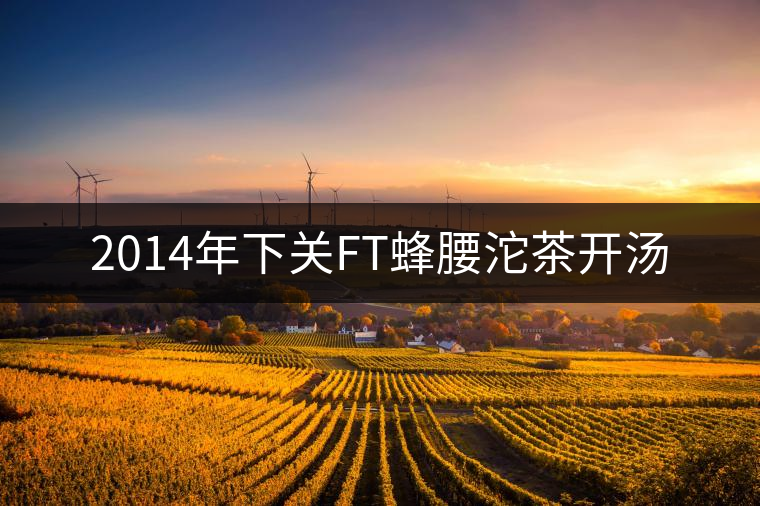 2014年下關FT蜂腰沱茶開湯 2014年下關FT蜂腰沱茶開湯
