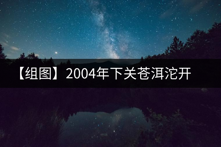 【組圖】2004年下關蒼洱沱開湯