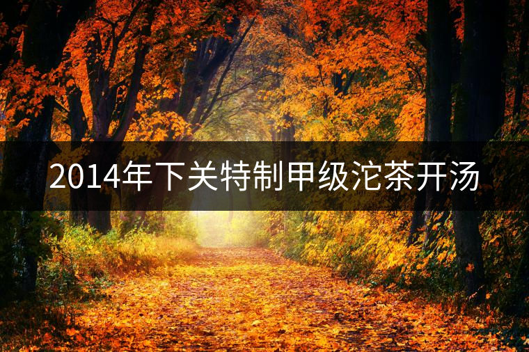 2014年下關特制甲級沱茶開湯