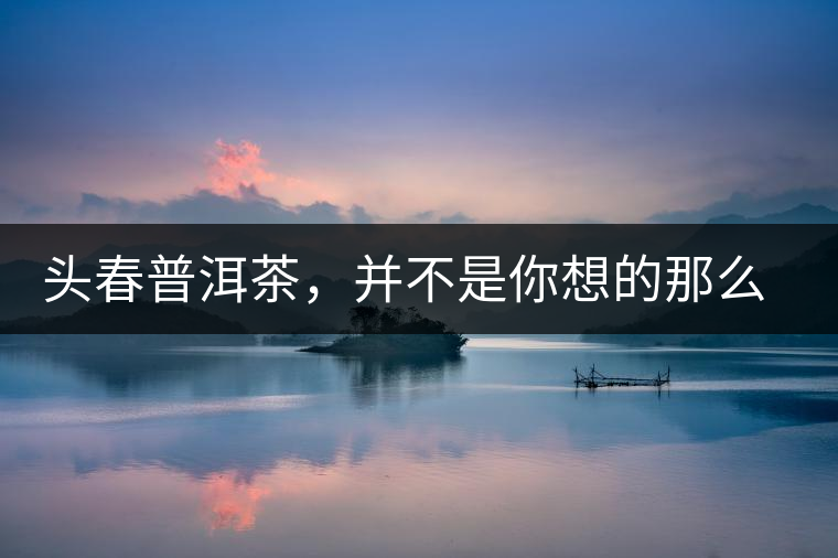 頭春普洱茶,并不是你想的那么好 頭春普洱茶,并不是你想的那么好