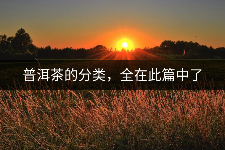 普洱茶的分類,全在此篇中了 普洱茶的分類,全在此篇中了