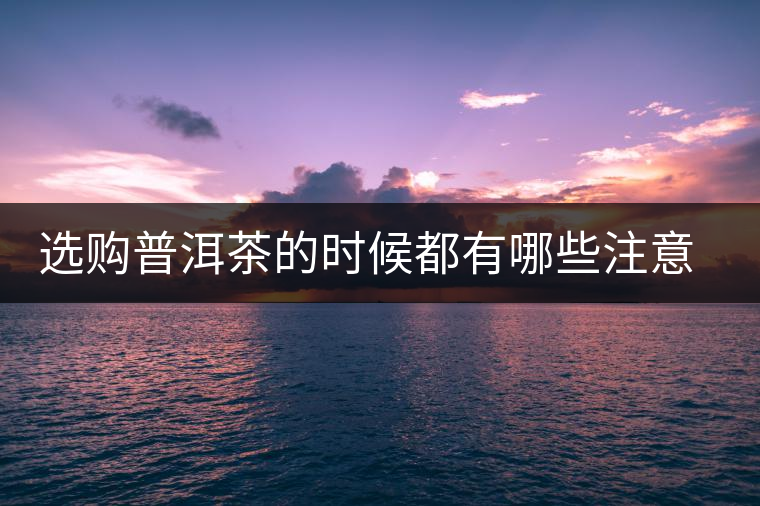 選購普洱茶的時候都有哪些注意事項？