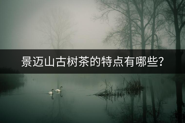 景邁山古樹茶的特點有哪些? 景邁山古樹茶的特點有哪些?