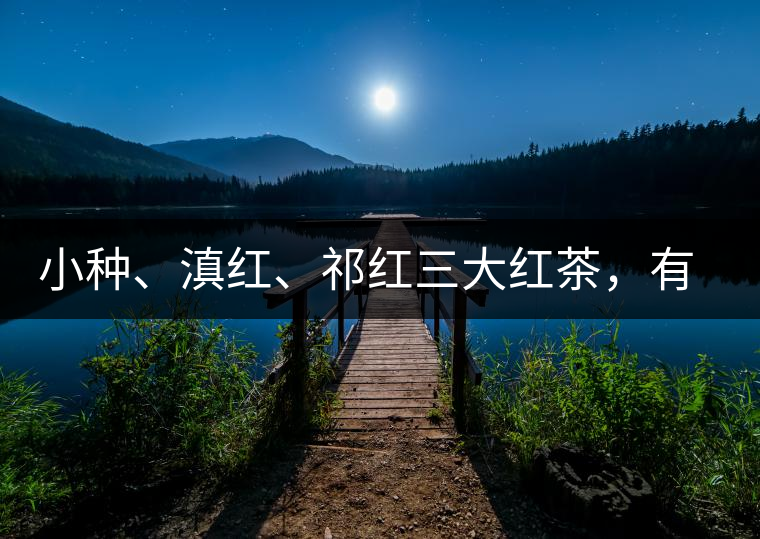 小種、滇紅、祁紅三大紅茶,有何區(qū)別 小種、滇紅、祁紅三大紅茶,有何區(qū)別