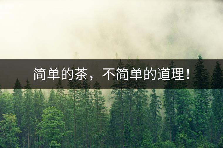 簡單的茶，不簡單的道理！