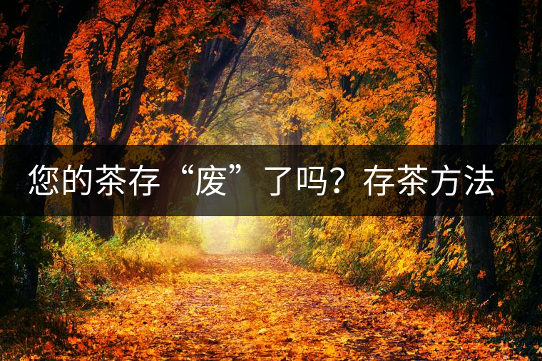 您的茶存“廢”了嗎?存茶方法與技巧,把香留住! 您的茶存“廢”了嗎?存茶方法與技巧,把香留住!