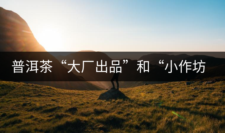 普洱茶“大廠出品”和“小作坊”，哪一個更值得購買？