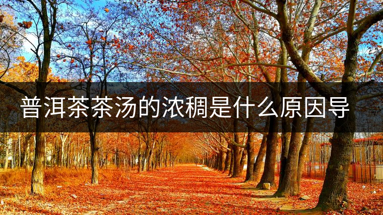 普洱茶茶湯的濃稠是什么原因?qū)е碌模? alt=