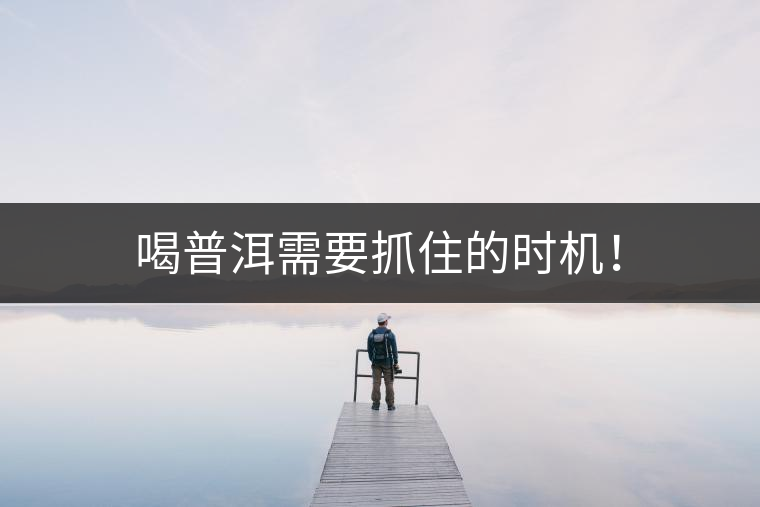 喝普洱需要抓住的時機! 喝普洱需要抓住的時機!