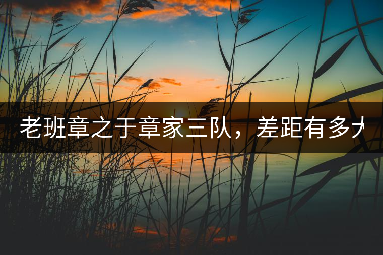 老班章之于章家三隊,差距有多大? 老班章之于章家三隊,差距有多大?