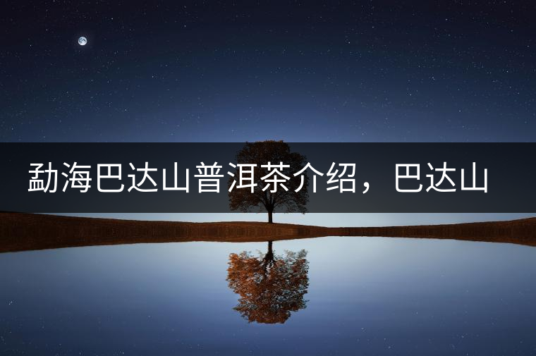 勐海巴達山普洱茶介紹，巴達山古樹茶口感特點