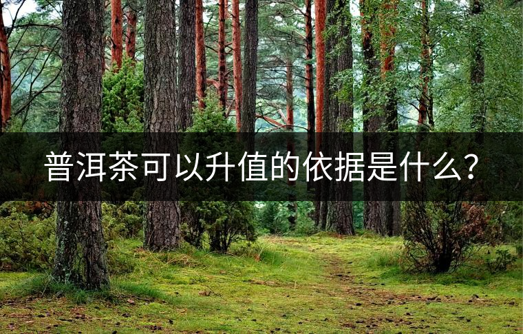 普洱茶可以升值的依據是什么？