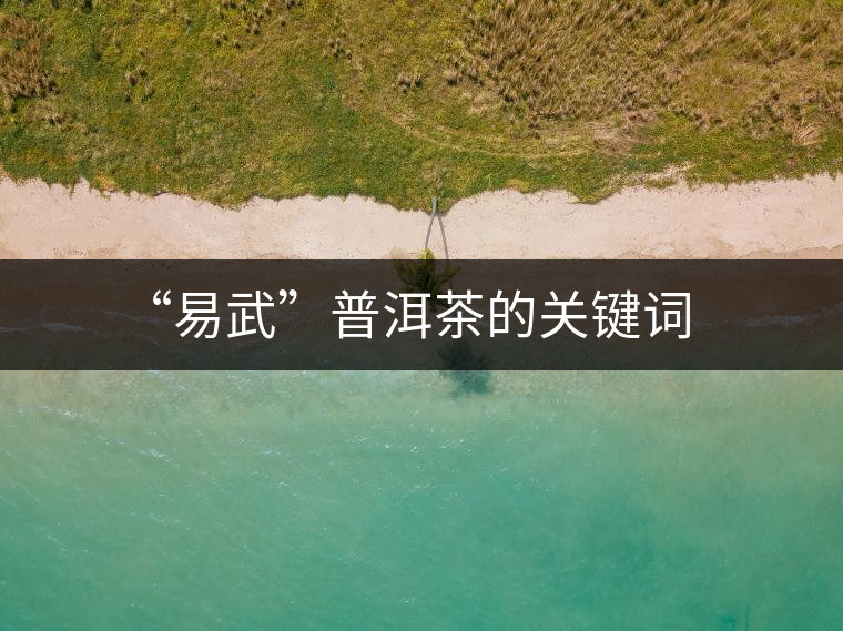 “易武”普洱茶的關鍵詞 “易武”普洱茶的關鍵詞