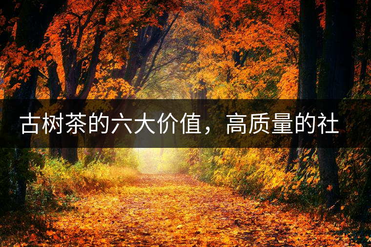 古樹茶的六大價值,高質(zhì)量的社交都離不開古樹茶 古樹茶的六大價值,高質(zhì)量的社交都離不開古樹茶