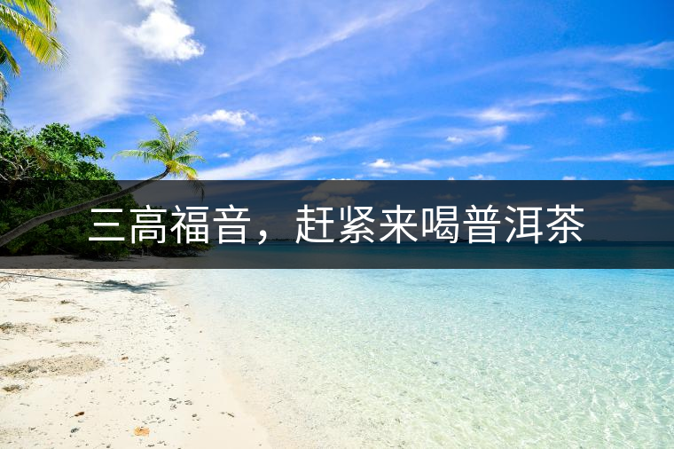 三高福音，趕緊來喝普洱茶