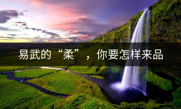 易武的“柔”,你要怎樣來品 易武的“柔”,你要怎樣來品