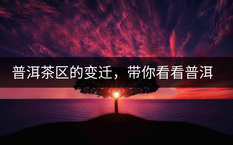 普洱茶區的變遷,帶你看看普洱茶地域分布 普洱茶區的變遷,帶你看看普洱茶地域分布