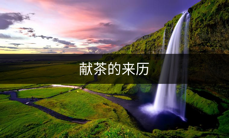 獻(xiàn)茶的來歷 獻(xiàn)茶的來歷