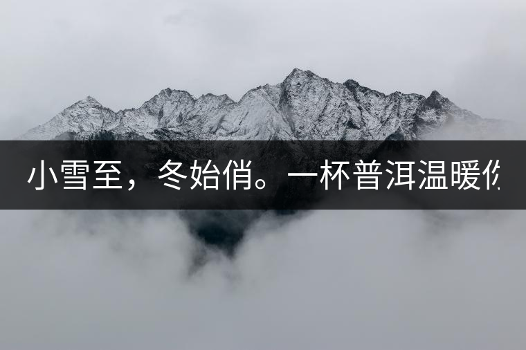 小雪至,冬始俏。一杯普洱溫暖你的冬天! 小雪至,冬始俏。一杯普洱溫暖你的冬天!