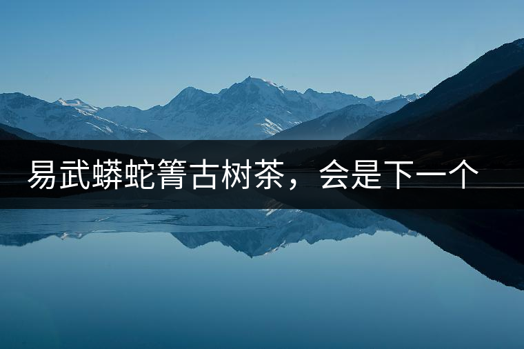 易武蟒蛇箐古樹茶，會是下一個銅箐河嗎？